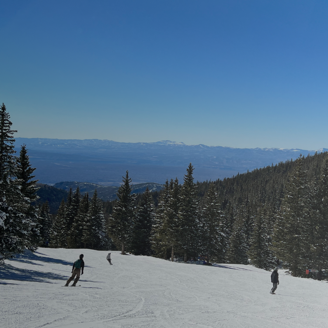 ski 1 ski 1